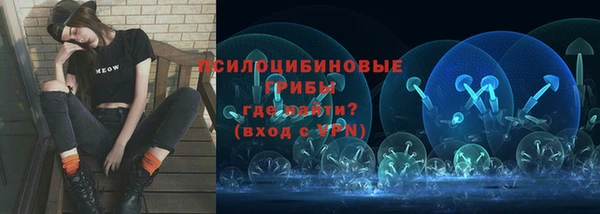 дурь Алексеевка