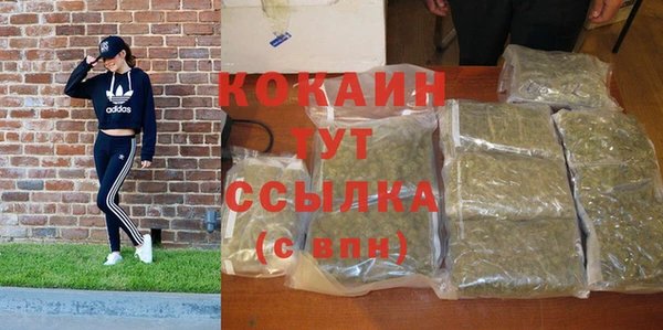 ешки Алзамай