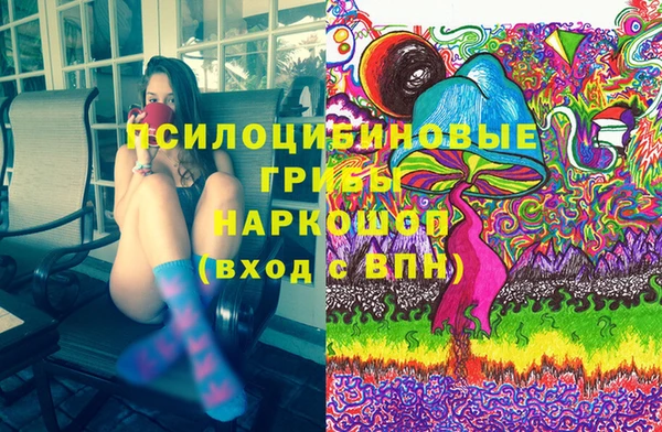 ешки Алзамай
