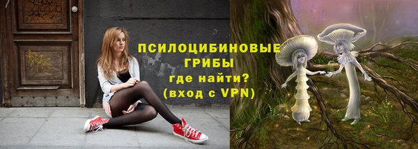 ешки Алзамай