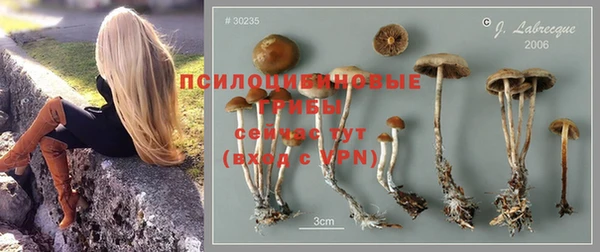 дурь Алексеевка